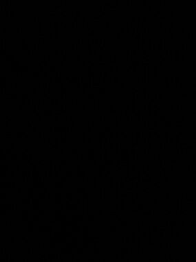 Set of 2 ThirdLove Black Bra